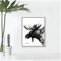 Picture of Sketched Moose _GroupedProduct_Rectangle_Portrait_Canvas_Framed_