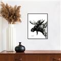 Picture of Sketched Moose _GroupedProduct_Rectangle_Portrait_Canvas_Framed_