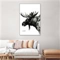 Picture of Sketched Moose _GroupedProduct_Rectangle_Portrait_Canvas_Framed_