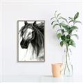 Picture of Sketched Horse _GroupedProduct_Rectangle_Portrait_Canvas_Framed_