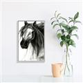 Picture of Sketched Horse _GroupedProduct_Rectangle_Portrait_Canvas_Framed_