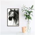 Picture of Sketched Horse _GroupedProduct_Rectangle_Portrait_Canvas_Framed_