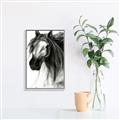 Picture of Sketched Horse _GroupedProduct_Rectangle_Portrait_Canvas_Framed_