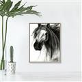 Picture of Sketched Horse _GroupedProduct_Rectangle_Portrait_Canvas_Framed_
