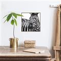 Picture of Zebra Watching _GroupedProduct_Square_Canvas_Framed_