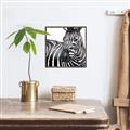 Picture of Zebra Watching _GroupedProduct_Square_Canvas_Framed_