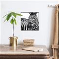 Picture of Zebra Watching _GroupedProduct_Square_Canvas_Framed_