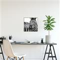 Picture of Zebra Watching _GroupedProduct_Square_Canvas_Framed_