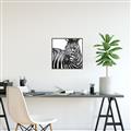 Picture of Zebra Watching _GroupedProduct_Square_Canvas_Framed_