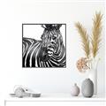 Picture of Zebra Watching _GroupedProduct_Square_Canvas_Framed_