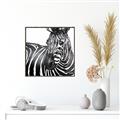 Picture of Zebra Watching _GroupedProduct_Square_Canvas_Framed_