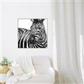 Picture of Zebra Watching _GroupedProduct_Square_Canvas_Framed_