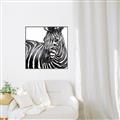 Picture of Zebra Watching _GroupedProduct_Square_Canvas_Framed_
