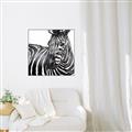 Picture of Zebra Watching _GroupedProduct_Square_Canvas_Framed_