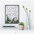 Picture of Love grows here _GroupedProduct_Rectangle_Portrait_Canvas_Framed_