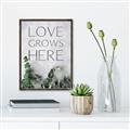 Picture of Love grows here _GroupedProduct_Rectangle_Portrait_Canvas_Framed_