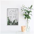 Picture of Love grows here _GroupedProduct_Rectangle_Portrait_Canvas_Framed_