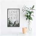 Picture of Love grows here _GroupedProduct_Rectangle_Portrait_Canvas_Framed_