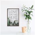 Picture of Love grows here _GroupedProduct_Rectangle_Portrait_Canvas_Framed_
