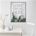 Picture of Love grows here _GroupedProduct_Rectangle_Portrait_Canvas_Framed_
