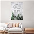 Picture of Love grows here _GroupedProduct_Rectangle_Portrait_Canvas_Framed_