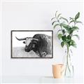 Picture of Big Cattle  _GroupedProduct_Rectangle_Landscape_Canvas_Framed_