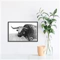 Picture of Big Cattle  _GroupedProduct_Rectangle_Landscape_Canvas_Framed_
