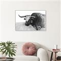 Picture of Big Cattle  _GroupedProduct_Rectangle_Landscape_Canvas_Framed_