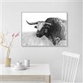 Picture of Big Cattle  _GroupedProduct_Rectangle_Landscape_Canvas_Framed_