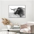 Picture of Big Cattle  _GroupedProduct_Rectangle_Landscape_Canvas_Framed_