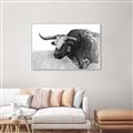 Picture of Big Cattle  _GroupedProduct_Rectangle_Landscape_Canvas_Framed_