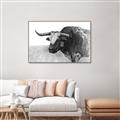 Picture of Big Cattle  _GroupedProduct_Rectangle_Landscape_Canvas_Framed_