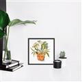 Picture of Palm Plant _GroupedProduct_Square_Canvas_Framed_