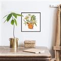 Picture of Palm Plant _GroupedProduct_Square_Canvas_Framed_