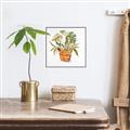 Picture of Palm Plant _GroupedProduct_Square_Canvas_Framed_