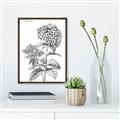 Picture of Hydrangea Sketch  _GroupedProduct_Rectangle_Portrait_Canvas_Framed_
