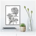 Picture of Hydrangea Sketch  _GroupedProduct_Rectangle_Portrait_Canvas_Framed_