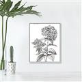 Picture of Hydrangea Sketch  _GroupedProduct_Rectangle_Portrait_Canvas_Framed_