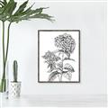 Picture of Hydrangea Sketch  _GroupedProduct_Rectangle_Portrait_Canvas_Framed_