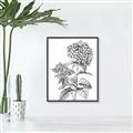 Picture of Hydrangea Sketch  _GroupedProduct_Rectangle_Portrait_Canvas_Framed_