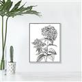 Picture of Hydrangea Sketch  _GroupedProduct_Rectangle_Portrait_Canvas_Framed_
