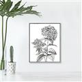 Picture of Hydrangea Sketch  _GroupedProduct_Rectangle_Portrait_Canvas_Framed_