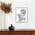 Picture of Hydrangea Sketch  _GroupedProduct_Rectangle_Portrait_Canvas_Framed_