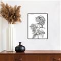 Picture of Hydrangea Sketch  _GroupedProduct_Rectangle_Portrait_Canvas_Framed_