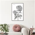 Picture of Hydrangea Sketch  _GroupedProduct_Rectangle_Portrait_Canvas_Framed_