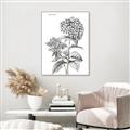 Picture of Hydrangea Sketch  _GroupedProduct_Rectangle_Portrait_Canvas_Framed_