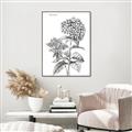 Picture of Hydrangea Sketch  _GroupedProduct_Rectangle_Portrait_Canvas_Framed_