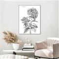 Picture of Hydrangea Sketch  _GroupedProduct_Rectangle_Portrait_Canvas_Framed_