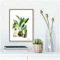 Picture of House Plants I  _GroupedProduct_Rectangle_Portrait_Canvas_Framed_