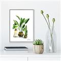 Picture of House Plants I  _GroupedProduct_Rectangle_Portrait_Canvas_Framed_